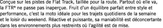 Conçue sur les pistes de Flat Track, taillée pour la route  Partout où elle va, la FTR  ne passe pas inaperçue  Fruit   
